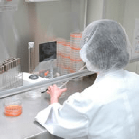 微生物検査・理化学検査の様子の写真